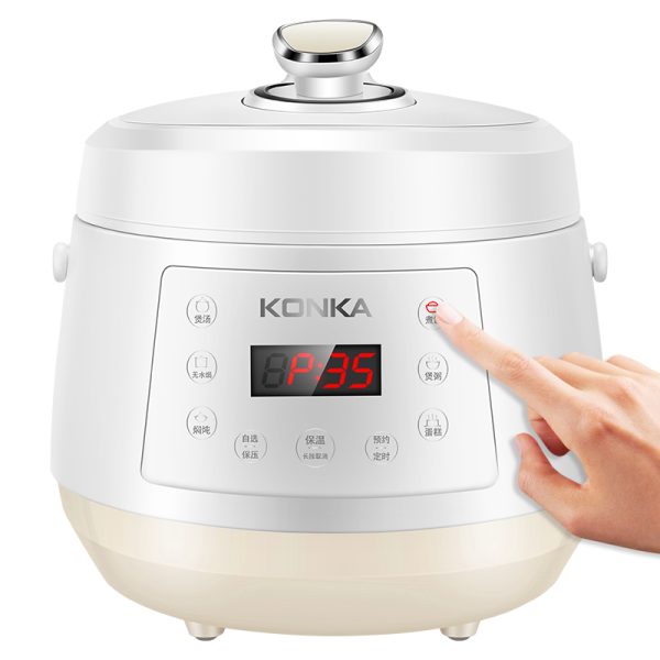 Electric Pressure Cooker Stainless Steel