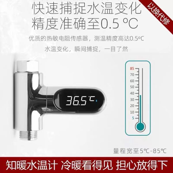 Electronic Water Thermometer