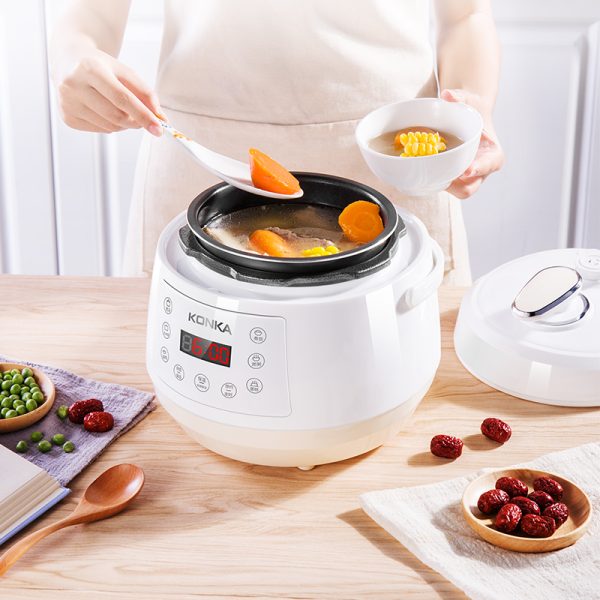 Electric Pressure Cooker Stainless Steel