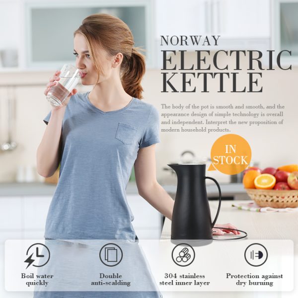 Electric thermo Kettle