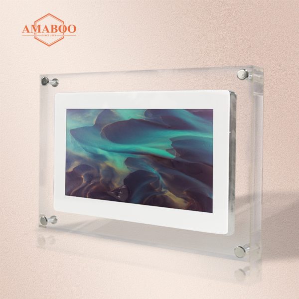 Digital Photo Picture Frame-10 inch Frame-MP4 Video Player